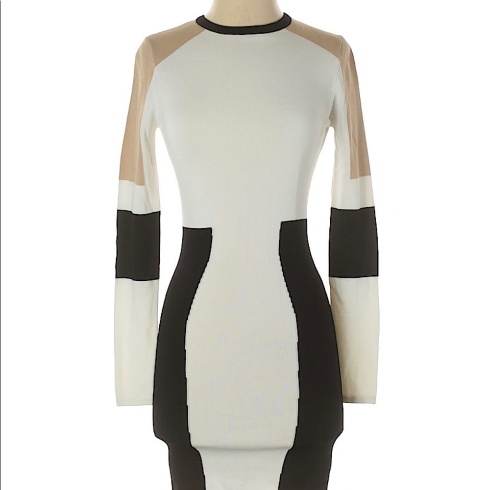 Torn by Ronny Kobo bodycon long sleeve dress